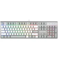 Клавиатура A4Tech Fstyler FS100 Neon (серебристый/серый) фото 1
